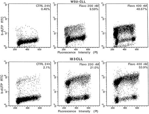 Fig. 2. Detection of apoptosis-associated DNA strand-breaks by in situ terminal deoxynucleotidyl transferase assay (TdT-assay) in WSU-CLL and I83CLL cells. The cells were either untreated (CTRL) or exposed flavopiridol (200 nmol/L, 400 nmol/L) for 24 hours, respectively. The dots represent the distribution of individual cells with respect to their b-dUTP incorporation and DNA content. The degree of b-dUTP complexes correlated with DNA strand-breaks per cell.