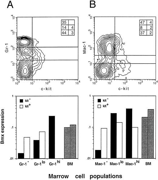 Fig. 3. Bmx expression in Gr-1, Mac-1, and Kit sorted bone marrow cells. Bone marrow cells were sorted by FACS for the expression of Gr-1 and Kit (A) or Mac-1 and Kit (B). Populations separated by lines on the density plot (top panels) were isolated and lyzed. Inserts in the right upper corner of both density plots show the percentage of individual fractions within the normal bone marrow. Bmx expression (bottom panels) is presented as the ratio of Bmx to actin signals. Expression in total bone marrow is indicated with gray bars.