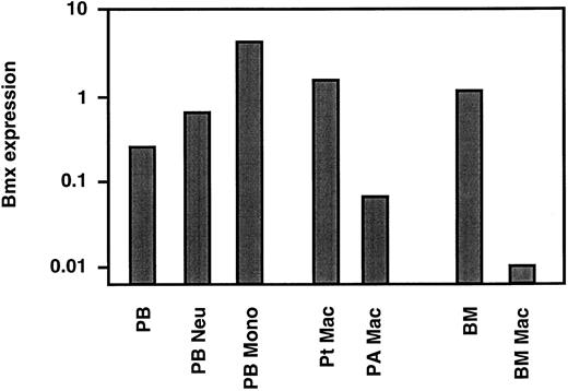 Fig. 4. Bmx expression in mature hematopoietic cells. Bmx expression was measured in total nucleated peripheral blood cells (PB), peripheral blood neutrophils (PB Neu), peripheral blood monocytes (PB Mono), peritoneal macrophages (Pt Mac), pulmonary alveolar macrophages (PA Mac), total bone marrow (BM) and bone marrow derived macrophages in cultures (BM Mac), as for Fig 3.