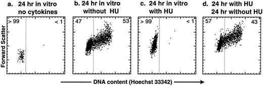 Fig. 1. Cell-cycle analysis of purified murine KTLS cells after HU treatment in vitro. KTLS cells were isolated from BM and cultured for 24 hours with (a) no cytokines (72% viable), (b) the cytokines IL-6, SLF, and TPO (95% viable), (c) HU (100 μg/mL) and cytokines (78% viable), or (d) HU (100 μg/mL) and cytokines, and then cells were washed to remove HU and cultured with cytokines for another 24 hours (92% viable). FACS plots display Hoechst 33342 staining forward scatter. The percentage of cells in G0/G1 or S/G2/M is indicated at the left or right of each FACS plot, respectively. About 6% of KTLS cells were in the S/G2/M phases before culture initiation. During this experiment, the fine-gain setting of forward-scatter measurement was normalized using calibration beads.