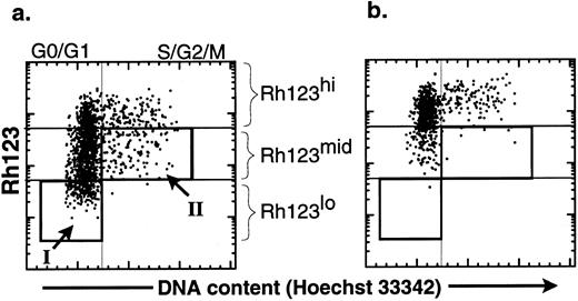 Fig. 3. Comparison of the effect of verapamil on the cell-cycle status of KTLS cells isolated from BM of HU-treated mice. KTLS cells were isolated from BM of HU-treated mice (100 mg/kg/d for 3 days) and stained with Rh123 and Hoechst 33342 to determine the cell-cycle status of KTLS subsets. FACS plots of the purified HSCs show Hoechst 33342 staining v rhodamine staining (a) without and (b) with verapamil. Verapamil inhibited the efflux of Rh123. The boxes show populations that were purified for further analysis: (I) G0/G1 Rh123lo and (II) S/G2/M Rh123mid (these cells in S/G2/M have the ability to efflux Rh123 dye). G0/G1 Rh123lo cells represent about 15% to 18% of KTLS cells, while S/G2/M Rh123mid cells represent 4% to 8% of KTLS cells.