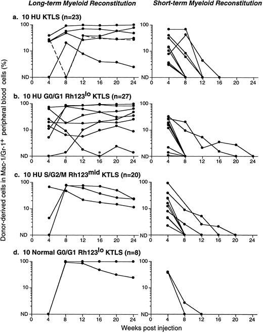 Fig. 5. Productive life span of donor-marked KTLS cells and KTLS subsets isolated from BM of HU-treated mice. Recipient mice were lethally irradiated and reconstituted with 105 recipient-type BM cells and (a) 10 KTLS cells, (b) 10 G0/G1 Rh123lo KTLS cells, or (c) 10 S/G2/M Rh123mid KTLS cells isolated from HU-treated mice (100 mg/kg/d for 3 days). One group of mice received (d) 10 G0/G1 Rh123lo KTLS cells from untreated mice as a control. The number of mice reconstituted with given populations is indicated. The percent of donor-derived myeloid cells in peripheral blood was assessed monthly for 6 months. Each line represents consecutive samples of peripheral blood taken from a single mouse. *Low but significant levels of donor-derived myeloid cells were detected in this chimera at week 16.
