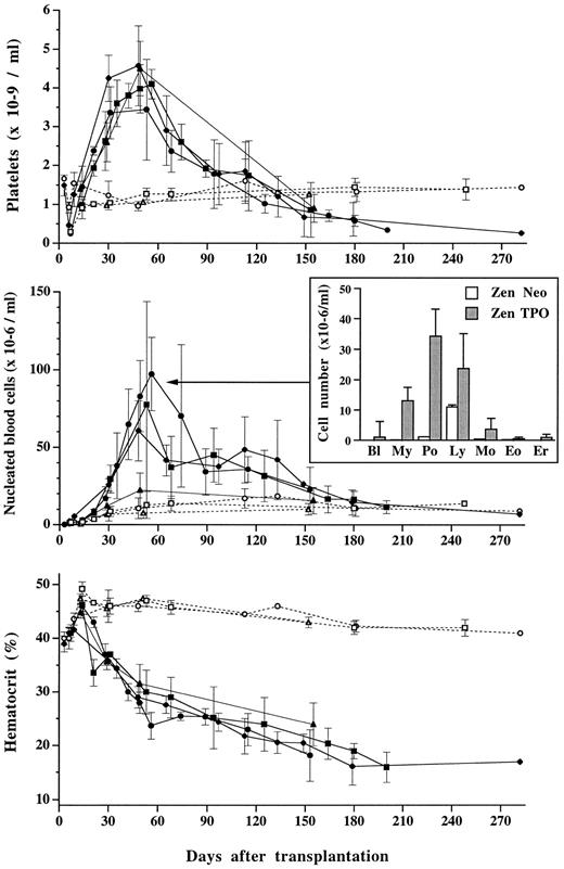 Fig. 5. Platelet (top panel), nucleated blood cell (center panel), and hematocrit (lower panel) levels in mice transplanted with MPZenTPO (▪, •, ♦, ▴; plain lines) or MPZen Neo (□, ○, ▵; dashed lines) virus-infected bone marrow cells. Each point represents the mean value (±SD) from recipients (n = 2 to 14) obtained from the same infected group. Different symbols correspond to different infected groups; these are the same as the ones used in Fig 2. In the center panel, the histogram represents the mean number (±SD) of blast cells (Bl), myeloid precursor cells (My), neutrophils (Po), lymphocytes (Ly), eosinophils (Eo), and erythroblasts (Er) counted in the peripheral blood from MPZenTPO (▪, n = 11) or MPZenNeo (□, n = 5) recipient mice studied between 53 and 56 days after transplantation.