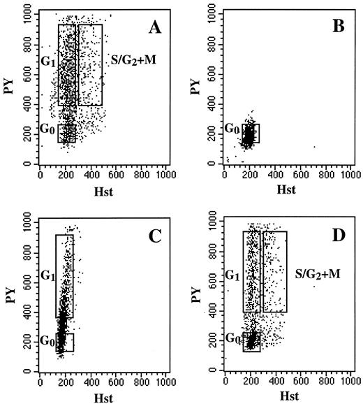 Fig. 1. General method of cell-cycle fractionation using DNA and RNA analysis with Hst and PY. (A) Dual-parameter dot plot showing analysis of BM CD34+ cells stained with Hst and PY. Cells residing in G0 (low PY uptake) appear at the bottom of the G0 /G1 region identified by low Hst staining. Cells in G1 have a brighter PY signal within the G0 /G1 peak. Cells in S/G2 + M display both high Hst and high PY staining. (B) Postsort analysis of BM CD34+ cells sorted in G0 . (C) Hst/PY fluorescence distribution of G0 CD34+ cells shown in B after 24 hours under IL-3-IL-6-SCF stimulation, showing G0-G1 progression. (D) Same sample after 72 hours in culture, depicting cells moving into S/G2 + M phase.