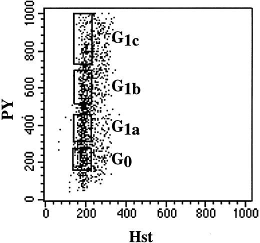 Fig. 4. Fractionation of steady-state BM CD34+ cells into 4 G0 /G1 subcompartments using DNA/RNA analysis with Hst and PY. Sorting gates defining four subcompartments of G0 /G1 phase are indicated.