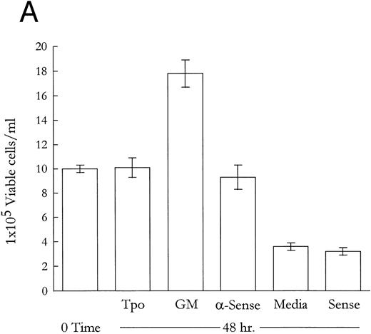 Fig. 1. Modulation of cell viability with a 48-hour treatment of M07e cells with p53-specific antisense oligonucleotides and Western blot analysis of the effects of p53 protein negation on the levels of protein products of p53-responsive genes in M07e cells. Following an 18-hour factor starvation period, 1 × 106 cells were treated for 48 hours with either Tpo (50 ng/mL), GM-CSF (GM; 100 U/mL), antisense oligonucleotide (5 μmol/L), control serum-free media, or sense oligonucleotide (5 μmol/L). (A) Cell viability was measured at 48 hours by trypan blue exclusion. Each data point was sampled in triplicate. (B) The levels of p53, Bax, Mdm-2, and Bcl-2 were analyzed by Western blot analysis as described in Materials and Methods. This figure represents data from one of three experiments which yielded similar results.