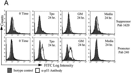 Fig. 2. Tpo upregulates the promoter conformation of p53 in M07e cells. After an 18-hour factor starvation period, 1 × 106 cells were treated with either Tpo (50 ng/mL), GM-CSF (GM; 100 U/mL), or control serum-free media for 24 or 48 hours. (A) The cells were prepared for flow cytometric analysis for the detection of immunologic variants of p53. The individual cultures were split into four equal groups and treated with either suppressor conformation-specific IgG2a Pab 1620, an IgGa2 isotype control, promoter conformation-specific IgG1 Pab 240, or the IgG1 isotype control. These cultures were then all stained with anti-IgG FITC conjugated secondary antibody. (B) p53 was immunoprecipitated from cell lysates at the indicated time points with either Pab 1620 or Pab 240, transferred to membrane by SDS-PAGE, and probed for p53 with sheep α-p53. This figure represents flow data from four experiments and Western blot data from two experiments which yielded similar results.