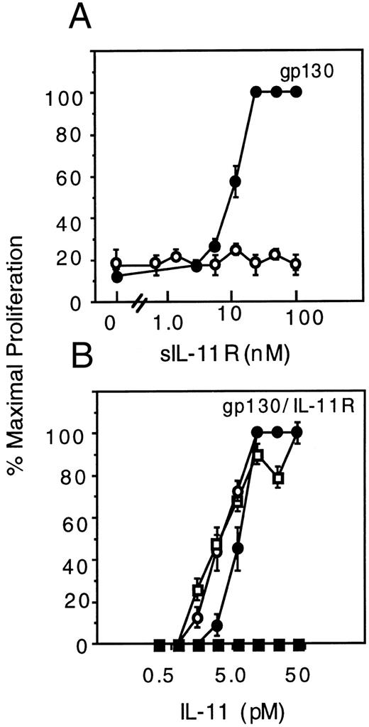 Fig. 6. Activity of sIL-11R on Ba/F3 cell proliferation. Microwell assay with 200 cells added per well. Cells were visually counted and results expressed as a percentage of the maximal response (≥200 cells at 48 hours). (A) Ba/F3 cells expressing gp130 stimulated with sIL-11R alone (○) or combined with 500 pmol/L IL-11 (•). (B) Ba/F3 cells expressing gp130 and the transmembrane IL-11R stimulated with IL-11 alone (□) or combined with 40 nmol/L sIL-11R (▪). Control cultures stimulated with IL-3 alone (○) or combined with 40 nmol/L sIL-11R (•) are also shown.