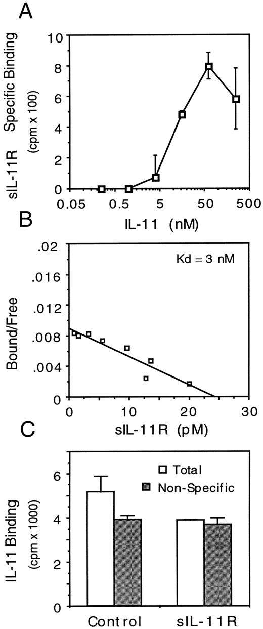 Fig. 8. Binding characteristics of sIL-11R. (A) Effect of IL-11 concentration on specific binding of 125I-labeled sIL-11R (2 × 105 cpm) to 106 M1 cells. (B) Scatchard analysis of sIL-11R binding to M1 cells in the presence of IL-11 (50 nmol/L). (C) Effect of 125I-labeled IL-11 (1.5 nmol/L) binding to 106 M1/IL-11R cells in the absence (□) or presence () of 30-fold excess of unlabeled IL-11. Results are mean and standard deviation of duplicate measurements.