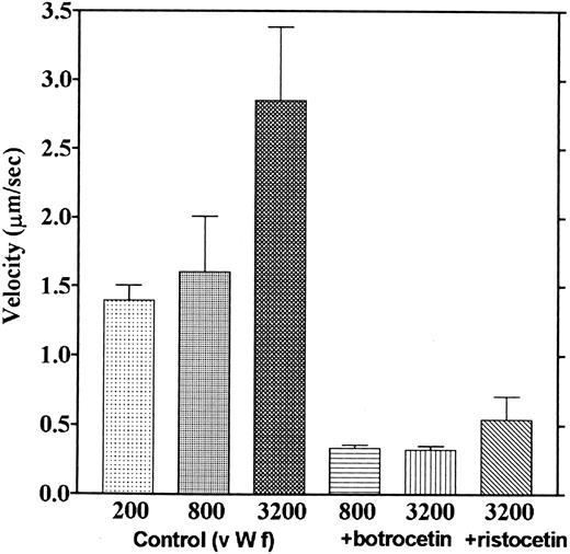 Fig. 11. Effect of botrocetin and ristocetin on the velocities of platelet movements. Velocities of platelets moving on the vWF-coated surface in the presence of ristocetin (0.6 mg/mL) and those of platelets moving on the botrocetin-treated vWF surface were measured. Values are the average of three experiments, except for the controls, which are from nine experiments.