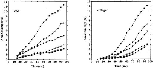Fig. 3. Comparison of time courses of area coverage of platelets adhering to vWF- and collagen-coated surfaces. Values for the percentage of area covered by fluorescent platelets were plotted as a function of the time after the start of blood flow. Adhesion was observed under flow rates of 200/s (▪), 400/s (▴), 800/s (▾), 1,600/s (♦), and 3,200/s (•). Adhesion on the collagen-coated surface increased biphasically, but adhesion on the vWF-coated surface increased linearly.