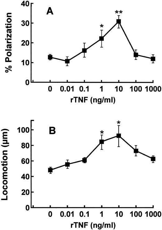 Fig. 1. Dose-response curves of purified tonsillar B cells to rTNF in polarization and locomotion assays. B lymphocytes were purified and tested as described in Materials and Methods in polarization (A) and locomotion (B) assays. Results are means ± SE from four to six different experiments. * P < .05, ** P < .01, Kruskal-Wallis nonparametric ANOVA analysis.