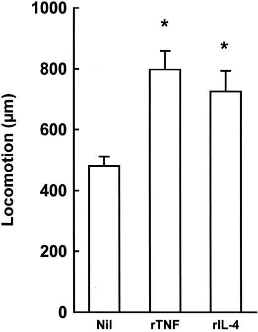 Fig. 3. Collagen gel invasion by purified tonsillar B cells in the presence or absence of rTNF or rIL-4. Results are expressed as micrometers travelled by the two faster cells from the top of the gels. Nil = no cytokine; rTNF = 1 ng/mL; rIL-4 = 100 U/mL. Incubation time = 10 hours. Results are means ± 1 SE from four experiments. *P < .05, nonparametric Mann-Whitney U-test.