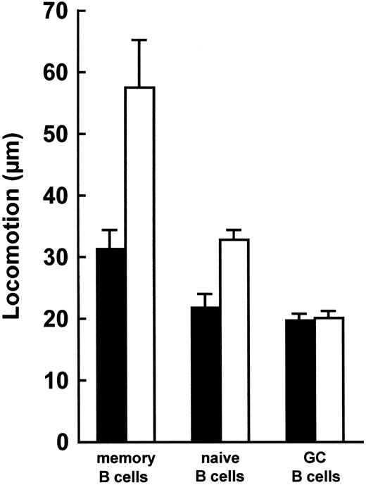 Fig. 4. Locomotion of memory, naive, and GC B lymphocytes. Locomotory activity of IgD−CD38− memory cells, IgD+ naive cells, and IgD−CD38+ GC B cells in the presence (□) or absence (▪) of 1 ng rTNF. Data are means ± SE from four experiments. In the presence of rTNF, memory and naive, but not GC, B cells migrated faster than the corresponding unstimulated cell fractions (P < .05, nonparametric Mann-Whitney U-test). Furthermore, in the presence of rTNF, memory and naive B lymphocytes displayed a significantly higher degree of locomotion than GC B cells (P < .05) and memory B cells migrated faster than naive B cells (P < .05).