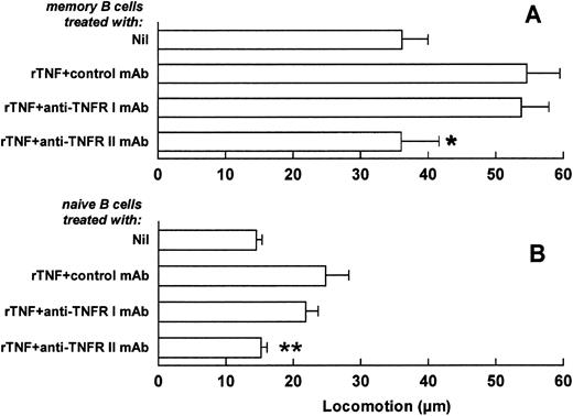 Fig. 6. Involvement of TNFRs in the TNF-induced enhancement of memory and naive B-cell locomotion. Freshly purified memory (A) and naive (B) B cells were treated with anti-TNFR I, anti-TNFR II, or with an isotype-matched MoAb of irrelevant specificity (control MoAb). Cells were subsequently tested in locomotor assays in the absence (Nil) or in the presence of 1 ng/mL rTNF. Results are means ± SE from six to seven different experiments. *P < .05, **P < .005, versus isotype-matched MoAb and rTNF-treated control, nonparametric Mann-Whitney U-test.