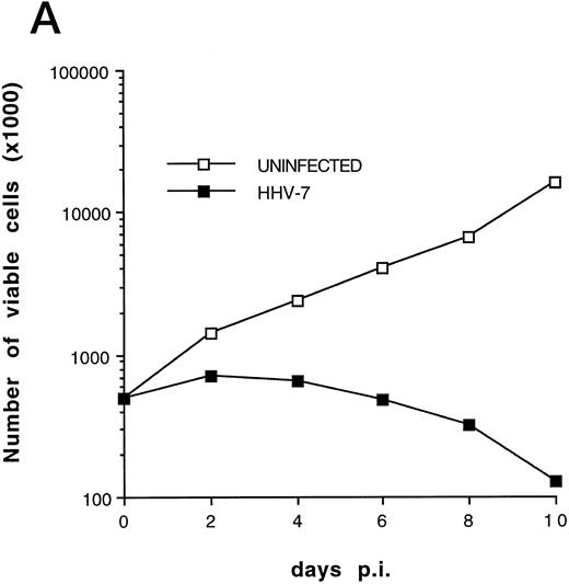 Fig. 1. (A) Evaluation of the total number of viable cells by Trypan blue dye exclusion at different days pi. (B) Cell-associated HHV-7 DNA evaluated at different days pi by quantitative PCR (values are referred to 250 cells). Results of one experiment representative of four separate experiments performed in duplicate are shown.