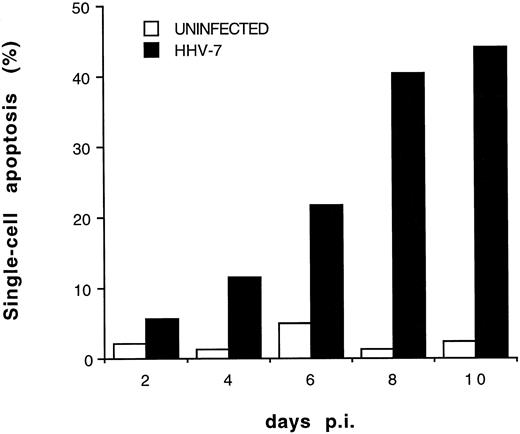 Fig. 4. Cocultivation quantitative evaluation of apoptosis after PI staining and flow cytometry at different days pi. Results of one representative experiment of four experiments performed in duplicate are shown.
