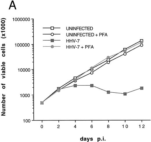 Fig. 5. Effect of cell-free HHV-7 inoculation on SupT1 cells evaluated at different days pi. (A) Total number of viable cells scored by Trypan blue dye exclusion. (B) Percentage of apoptosis evaluated by flow cytometry after PI staining. (C) Cell-associated HHV-7 DNA evaluated by quantitative PCR (values are referred to 250 cells). Results of one representative of three separate experiments performed in duplicate are shown.