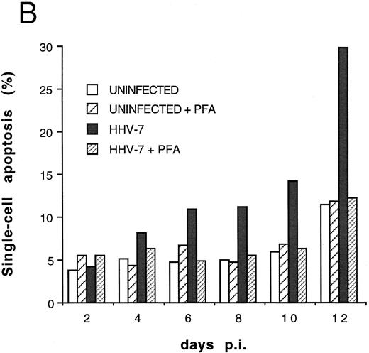 Fig. 7. Effect of cell-free HHV-7 inoculation on primary CD4+ T cells evaluated at different days pi. (A) Total number of viable cells scored by Trypan blue dye exclusion. (B) The percentage of apoptosis evaluated by flow cytometry after PI staining. (C) Cell-associated HHV-7 DNA, evaluated by quantitative PCR (values are referred to 250 cells). Results of one experiment of two separate experiments performed in duplicate are shown.