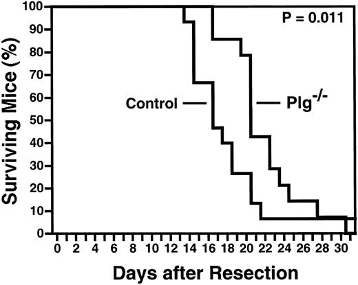 Fig. 5. Lack of Plg increases the survival of mice with Lewis lung carcinoma after surgical resection of the primary tumor. Plot of the percentage of surviving mice versus time after resection of primary tumors. Tumor cells were injected into 15 control mice and 14 Plg−/− mice, and the primary tumor was surgically resected at day 10. The P value was determined by the log-rank test. One control mouse did not die within the observation period and was alive and healthy more than 5 months after tumor cell inoculation, indicating that the tumor had spontaneously regressed. This mouse was included in the determination of the P value.