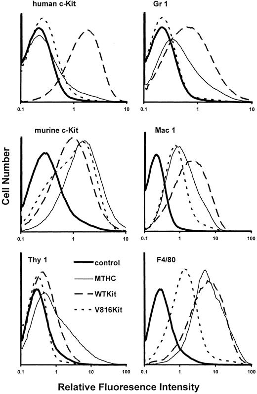 Fig. 8. Cell surface marker expression. The histograms show the relative surface expression profiles of the indicated cell surface antigens by nonadherent parental MTHC cultured in murine GM-CSF, WTKit-expressing MTHC maintained in human SCF, and V816Kit-expressing MTHC maintained without factor. The negative control shown in each panel corresponds to parental MTHC labeled with the secondary antibody used in each case and is representative of background.
