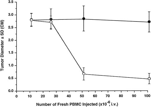 Fig. 1. Antitumor effect of unprimed human lymphocytes in SCID mice. Tumors were initiated by inoculation of 2 × 107 K562 cells (○) or K562DR1 cells (•) through SC injection. PBMC were administered by tail vein injection 24 hours later and tumor size (maximum tumor diameter) was measured after 14 days. Each data point in the graph represents the mean and one standard deviation (SD) of 8 to 12 tumors.
