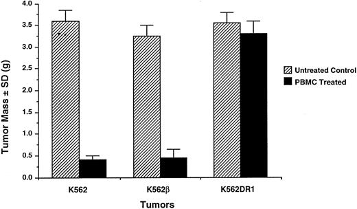 Fig. 3. Resistance of K562DR1+ tumors to adoptively transferred PBMC. Two weeks after SC inoculation of 2 × 107 K562 or K562β or K562DR1 cells followed by intravenous administration of 5 × 107 human PBMC, all tumors were excised, trimmed of surrounding tissue, and weighed (gram). A typical experiment is shown.