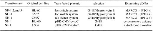 Fig. 2. Nomenclature, origin, and transfected plasmid of the transformant cells used in this manuscript. CytoC means human mitochondrial cytochrome c oxidase in this figure.