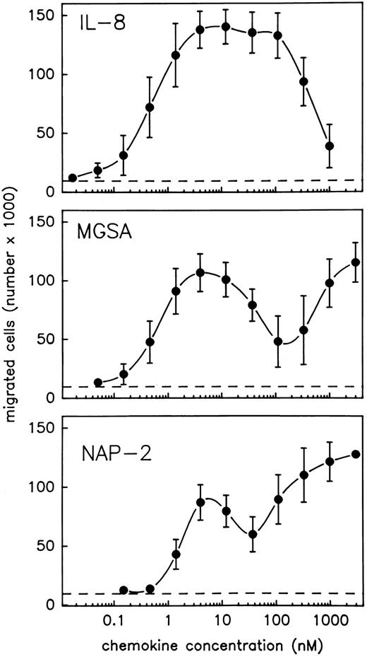 Fig. 1. PMN chemotaxis in response to IL-8, MGSA, and NAP-2. Chemotaxis of PMN induced by increasing concentrations of IL-8, MGSA, or NAP-2 was measured in the Boyden chamber system. Results are expressed as the number of migrated cells detected in the lower compartment of the chamber after 1 hour. Random migration in the absence of stimulus is indicated (- - -). Data represent mean ± standard deviation (SD) from three independent experiments.