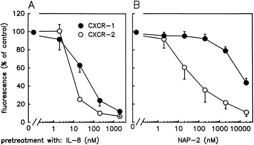 Fig. 3. Expression of CXC-chemokine receptors on PMN after pretreatment with NAP-2 or IL-8. Neutrophils were pretreated with various concentrations of NAP-2 (A) or IL-8 (B) or left unexposed for 10 minutes. Subsequently the surface expression of CXCR-1 (•) and CXCR-2 (○) was determined by means of two specific antibodies against each receptor type (MoAb RII115 and MoAb SE-2, respectively) and recorded by flow cytometry as median fluorescence intensity after staining with fluorescein-conjugated goat α-mouse IgG. Unspecific fluorescence of PMN as determined in the absence of receptor-specific antibodies was subtracted (the proportion of unspecific binding was as depicted in Fig 2). Data were calculated as the percentage of the controls that received no chemokine pretreatment and represent mean ± SD of four independent experiments.
