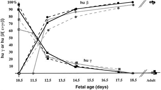 Fig. 4. Patterns of human γ and β globin gene expression in β globin YAC transgenic lines during ontogeny. Human β-like globin RNA transcripts were quantified by primer extension and PhosphorImager analysis, and the results of multiple experiments were averaged. The level of activity of human γ or β globin genes is expressed as the fraction of total human ɛ, γ, and β globin gene expression at each gestational stage, corrected for the specific activity of the primers. Solid gray line, A20.1; broken gray line, A85.68; solid black line, A85.73; broken black line, A85.62. In line A20.1, the yolk sac was harvested on day 11.5 for these experiments. The pattern of γ globin gene expression is denoted with squares, and human β globin gene expression is designated by circles.