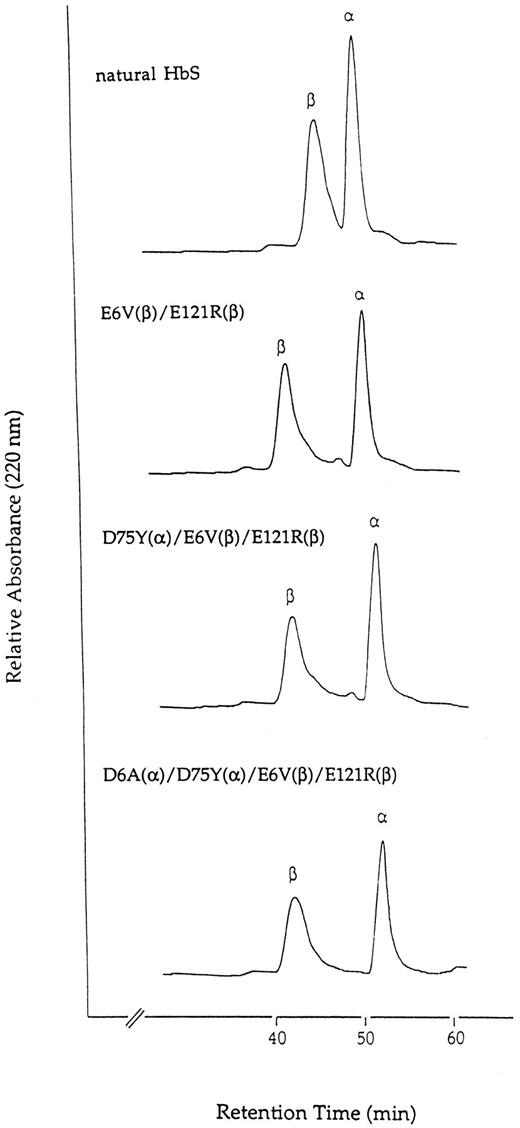 Fig. 2. Separation of α- and β-chains of natural HbS and recombinant HbS double, triple, and quadruple mutants. The samples were applied to a Vydac C4 HPLC column and eluted as described in the text. The amounts of Hb applied were about 100 μg.