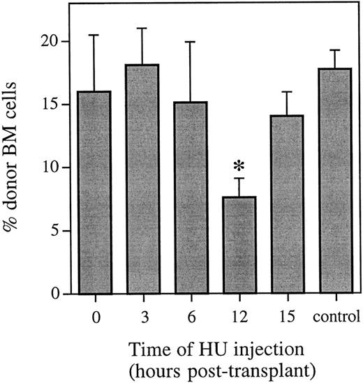 Fig. 1. Proportion of donor marrow cells in the bone marrow 6 weeks posttransplant as determined using FISH. Control animals received an equivalent marrow transplant and no HU. Values are the mean ± SEM for 3 to 9 individual animals (6 at 12 hours and 9 in the control group) from two independent experiments. *Significantly different v control (P < .001).
