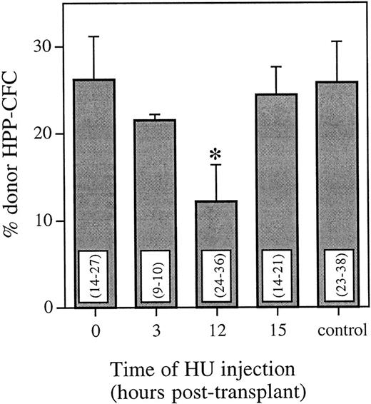 Fig. 2. Proportion of donor HPP-CFCs in the bone marrow 6 weeks posttransplant as determined using FISH. Control animals received an equivalent marrow transplant and no HU. Values are the mean ± SEM for three individual animals. Values in parentheses are the range of individual HPP-CFCs analyzed per animal. *Significantly different v control (P < .025).