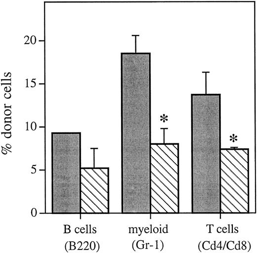 Fig. 4. Proportion of the different hematopoietic lineages of donor marrow origin as determined using FISH 6 weeks posttransplant from control animals that received an equivalent marrow transplant and no HU () or mice that received HU 12 hours posttransplant (▧). Values are the mean ± SEM for two to three individual animals (except for the B220 control group, which only had 1 sample). *Significantly different v control (P < .1).