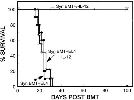 Fig. 1. Syngeneic spleen cells do not mediate an anti-leukemia effect in IL-12–treated mice. Results of two experiments that gave similar results are combined. B10 mice were treated with 10.25 Gy WBI and received 5 × 106 TCD B10 BMC, 15 or 18 × 106 B10 spleen cells plus 500 EL4 cells with no further treatment (•; n = 10) or with 4,900 IU IL-12 intraperitoneally on day 0 (○; n = 9). Nonleukemic control mice received similar inocula without EL4 cells with no further treatment (□; n = 6) or with 4,900 IU intraperitoneally (▪; n = 6).