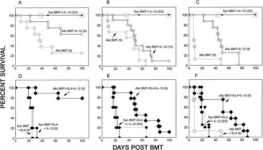 Fig. 2. Preservation of allogeneic GVL effects in IL-12–treated mice. Results from three individual experiments are shown in each column. B10 (H-2b) mice were lethally irradiated on day 0. (A through C) Nonleukemic mice received 5 × 106 TCD B10 BMC and 15 to 18 × 106 B10 spleen cells with or without IL-12 treatment (Syn BMT +/− IL-12), or 5 × 106 TCD B10 BMC plus 10 × 106 A/J BMC and 15 to 18 × 106 A/J spleen cells with (Allo BMT + IL-12) or without (Allo BMT) IL-12 treatment. (D through F ) Leukemic recipients in the same experiments received 5 × 106 TCD B10 BMC and 15 to 18 × 106 B10 spleen cells alone with (Syn BMT + EL4 + IL-12) or without (Syn BMT + EL4) IL-12 treatment, or 5 × 106 TCD BMC plus 10 × 106 A/J BMC and 15 to 18 × 106 A/J spleen cells with (Allo BMT + EL4 + IL-12) or without (Allo BMT + EL4) IL-12 treatment. All leukemic recipients received 500 H-2b EL4 cells on the day of BMT.