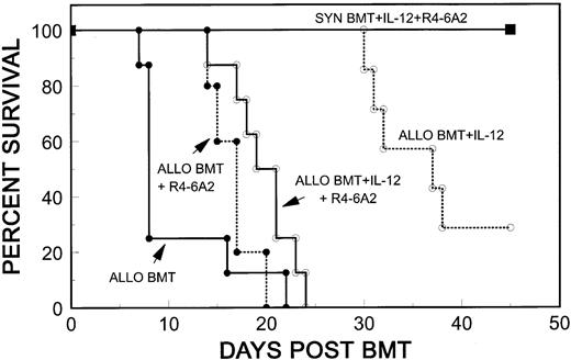 Fig. 3. R4-6A2, a rat antimouse IFN-γ MoAb, inhibits the protective effect of IL-12 against GVHD. Lethally irradiated B10 mice received 5 × 106 TCD B10 BMC plus 10 × 106 A/J BMC and 15 × 106 A/J spleen cells with no further treatment (Allo BMT, n = 8), or with IL-12 (Allo BMT + IL-12, n = 8) or R4-6A2 (Allo BMT + R4-6A2, n = 5), or both (Allo BMT + IL-12 + R4-6A2, n = 8). Syngeneic controls received 5 × 106 TCD B10 BMC with treatments of IL-12 and R4-6A2 (SYN BMT + IL-12 + R4-6A2, n = 3). Four thousand nine hundred units IL-12 and 2.5 mg R4-6A2 were administered by i.p. injection on day 0 and day 1 with respect to BMT, respectively.