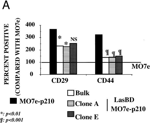 Fig. 5. LasBD restores normal integrin function and expression. (A) MO7e, MO7ep210, and LasBD-MO7ep210 bulk-selected and cloned cells were stained with FITC- or PE-conjugated monoclonal antibodies against CD29 or CD44 and analyzed on a FACStarPLUS flow cytometer. PE- and FITC-conjugated isotype matched mouse IgGs were used as negative controls. Results are presented as the mean ± SEM of four individual experiments. Statistics: Paired Student's t-test: P < .001. (B) Aliquots of 5 to 10 × 104 normal CD34+ cells, primary CML CD34+ HLA-DR+ cells or MO7e, MO7ep210 cells and LasBD-MO7ep210 bulk-selected cells were incubated with an adhesion blocking anti-β1 antibody followed by a goat-antimouse FITC antibody, as described in the Materials and Methods. Cytospin preparations were examined by immunofluorescence microscopy for the presence or absence of integrin caps.