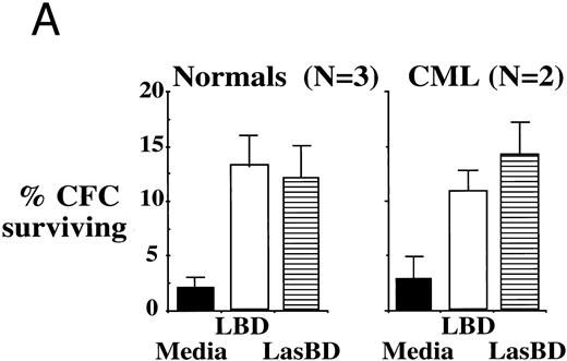 Fig. 7. LasBD suppresses BCR/ABL mRNA in primary CML cells and renders normal and CML progenitors MTX-resistant. (A) 1 × 104 normal or CML CD34+ HLA-DR+ cells were transduced with LasBD or the control vector, LBD containing PA317 supernatants, protamine sulfate, IL-3, IL-6, and SCF in contact with M2-10B4 stromal feeders for 24 hours. Cells were subsequently cultured in serum-free semisolid methylcellulose culture in the presence or absence of 5 × 10−8 mol/L MTX to determine the percentage of MTX-resistant progenitors. Results are represented as the percentage of CFC surviving 5 × 10−8 mol/L MTX from 2 patients with CML (with known b3a2 breakpoint) and 3 normal individuals. (B) 5 × 104 LasBD and LBD-transduced CML CD34+ HLA-DR+ cells were cultured for 14 days in liquid serum-free culture containing 5 × 10−8 mol/L MTX and cells examined by RT-PCR for the presence of the BCR/ABL mRNA.