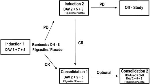 Fig. 1. Schematic representation of the study design. PD, persistent disease; CR, complete remission. Induction 1: daunorubicin 45 mg/m2 (3 days), cytosine-arabinoside 200 mg/m2 (7 days), and etoposide 100 mg/m2 (5 days). Induction 2: daunorubicin 45 mg/m2 (2 days), cytosine-arabinoside 200 mg/m2 (5 days), and etoposide 100 mg/m2 (5 days). Consolidation 1: daunorubicin 45 mg/m2 (2 days), cytosine-arabinoside 200 mg/m2 (5 days), and etoposide 100 mg/m2 (5 days). Consolidation 2: (optional) <50 years: cytosine-arabinoside 3 g/m2 12 hourly (6 days), daunorubicin 30 mg/m2 (2 days); ≥50 years: daunorubicin 45 mg/m2 (2 days), cytosine-arabinoside 200 mg/m2 (5 days), and etoposide 100 mg/m2 (5 days).