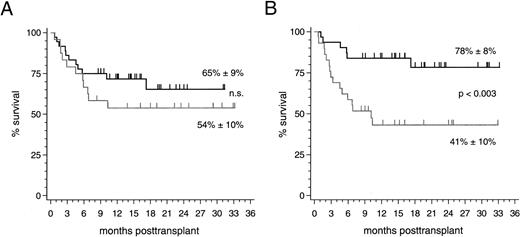 Fig. 2. (A) Survival probability after PBSC transplantation using genotypically HLA-identical sibling donors (black line) or alternative family donors (grey line) and (B) survival probability of all patients stratified by disease stage at transplant: early stages (black line) and advanced stages (grey line).