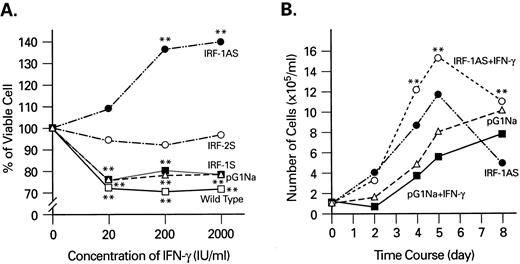 Fig. 1. IFN-γ stimulates cell proliferation of IRF-1 antisense retrovirus-transfected KG1a cells. (A) Cells were stimulated with increasing concentration of IFN-γ, and the viable cell number was counted on day 4 of cultures. (B) Time course study of the effects of IFN-γ on the growth of pG1IRF-1AS–transfected and pG1NA-transfected (control) KG1a cells. Statistical analysis (t-test): **P < .01 when compared with the value without IFN-γ. Similar results were obtained in two independent experiments.