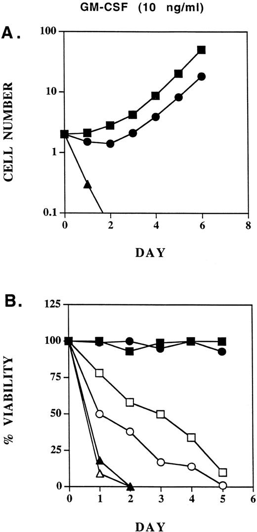 Fig. 6. Proliferation of Ba/F3-GMRαβ-WT, Ba/F3-GMRαβ-F8 , and Ba/F3-Lx (GMR-α chain alone) cells in response to 10 ng/mL GM-CSF (A) or 1 ng/mL (C). Viability (trypan blue exclusion) was monitored in the same cell lines cultured with 10 ng/mL GM-CSF (B) or 1 ng/mL (D) in the presence and absence of FCS (10% vol/vol) as indicated.