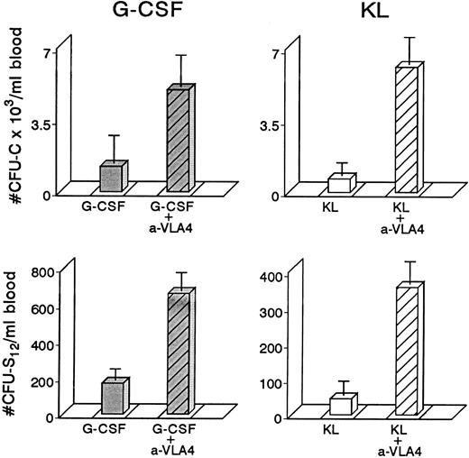 Fig. 1. Four groups of mice (5 each) were treated with either G-CSF (200 μg/kg/d or KL (100 μg/kg/d) for 3 days or with combinations of G-CSF plus anti-VLA4 or KL plus anti-VLA4 again for 3 days; anti-VLA4 was given intravenously at 1 mg/kg/d). The combination treatments led to significant enhancement of mobilization of both CFU-C and CFU-S12 compared with cytokine-only–treated controls or anti-VLA4 alone–treated controls (anti-VLA4 alone gives 200 to 900 CFU-C/mL depending on the strain of mice, see also Fig 4).