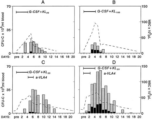 Fig. 3. Changes in white blood cells (- -) and in circulating clonogenic progenitors (CFU-C/mL blood) in nonhuman primates treated with combinations of G-CSF and KL. In panel A, results from four animals treated with G-CSF (100 μg/kg/d for 5 days) and KL (25 μg/kg/d for 5 days) are shown. (Pretreatment and day-5 values were available from all four animals and only these values have error bars.) One animal (B) was treated with the same dose of G-CSF but with KL 100 μg/kg/d for 5 days. The animal in panel C was given anti-VLA4 antibody (1 mg/kg/d) for 2 days after G-CSF plus KL treatment (like animal A in Fig 2), whereas the animal in panel D was given G-CSF plus KL (like animal A) but for the first 3 days of treatment was also given anti-VLA4.