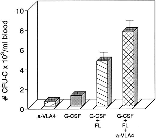 Fig. 4. Four groups of mice (5 each) were treated with either anti-VLA4 only, G-CSF only, G-CSF plus FL, or with G-CSF plus FL plus anti-VLA4 at doses indicated in the Methods. Each treatment was given for 3 days. Significant enhancement of mobilization was seen in the last group of mice.