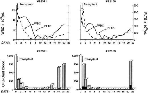 Fig. 6. Autologous bone marrow transplantation in two baboons. Before infusion, bone marrow cells were treated with anti-VLA4 antibody, the cells were infused without washing, and blood samples were taken at various points thereafter to evaluate blood counts and circulating clonogenic progenitors. Note that prompt engraftment occurred in both animals compared with historical controls. (One of the animals later died from a presumed viral infection, whereas the other animal remained healthy beyond 2 years from transplantation.)