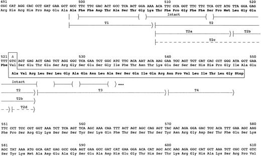 Fig. 1. Sequence of amyloid fibril protein. The carboxyl-terminal portion of the fibrinogen Aα-chain amino acid and gene sequence are shown. The abnormal amino acid sequence resulting from deletion of the second nucleotide in the codon for Val522 (delT4897) is shown in the boxed area. The arrows indicate the peptides used to determine the amino acid sequence of the amyloid protein. The parentheses within the arrow for intact protein indicate residues tentatively identified, and dots at the end indicate that the protein continued but was not sequenced further. Peptides labeled with T were isolated from HPLC fractionation of a trypsin digest of the subunit protein (Fig 2). Dashed arrows indicate peptides recovered at ≤5% the molar amount of the other peptides.