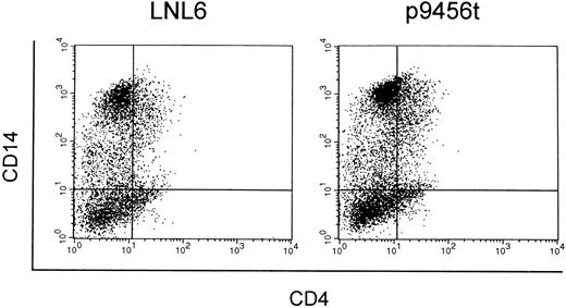 Fig. 5. Expression of CD4 and CD14 on macrophage-like cells derived from transduced CD34+ cells. CD34+ cells transduced with either the LNL6 (A) or ribozyme 9456 (B) retroviral vectors were cultured in methylcellulose in the presence of G418 and then replated in liquid culture supplemented with GM-CSF, M-CSF, and G418. Macrophage-like cells derived from these cultures were then analyzed for expression of CD4 and CD14 by flow cytometry.